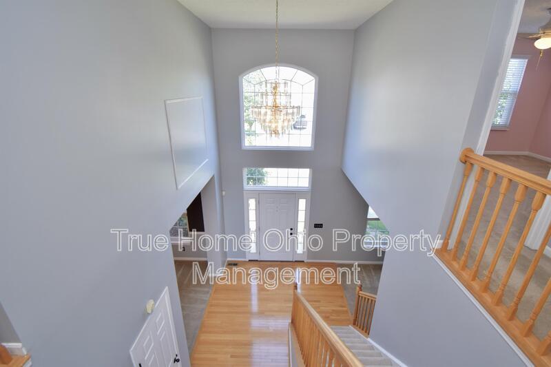 5167 Elm Leaf Trail property image